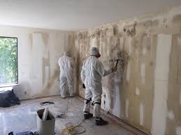 Biohazard Mold Removal in Killian, LA